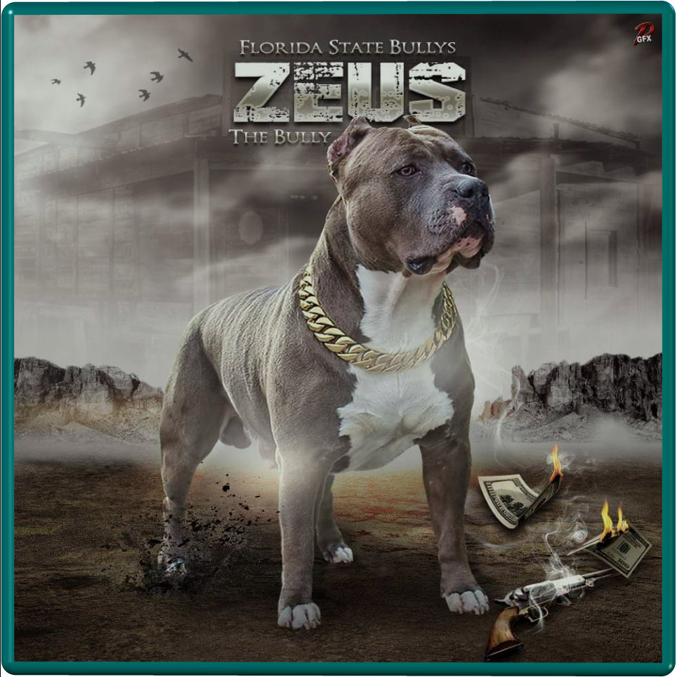 You are currently viewing FSB’s Zeus The Bully