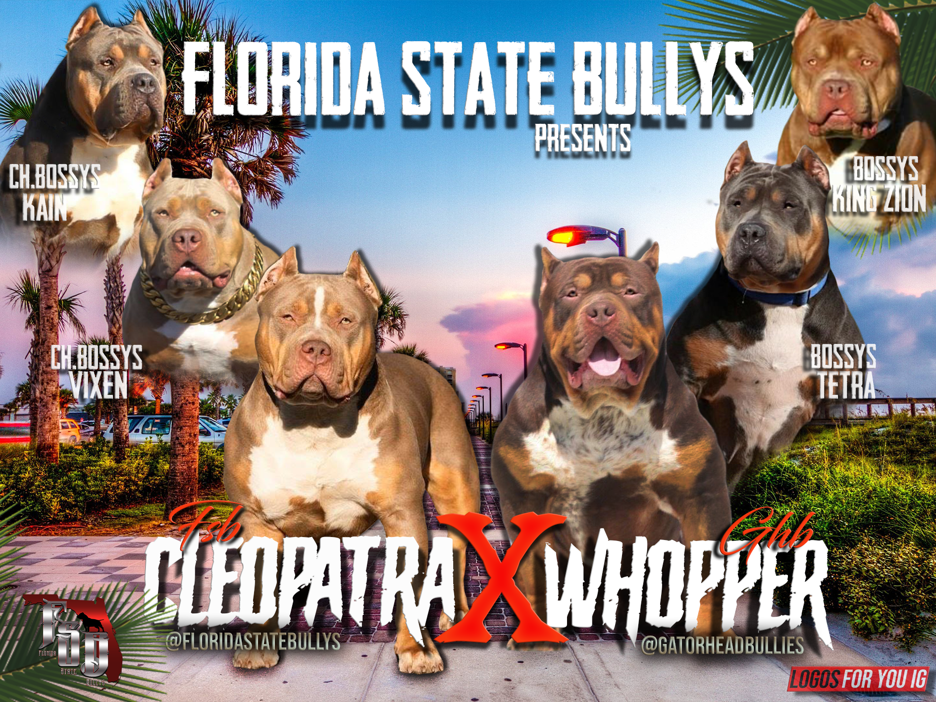 Read more about the article FSB’s Cleopatra & Gatorhead Bullies’ Whopper