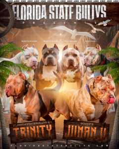 Read more about the article FSB’s CH Trinity & Bossy’s Jumanji