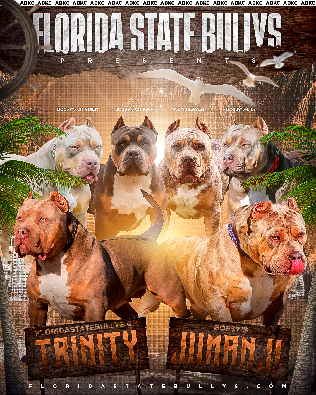 You are currently viewing FSB’s CH Trinity & Bossy’s Jumanji