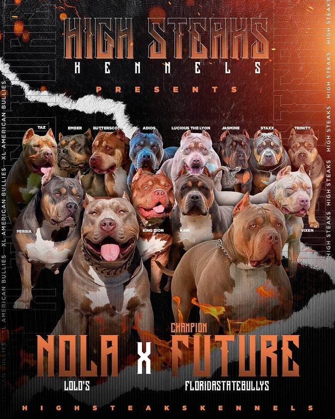 You are currently viewing FSB’s CH Future & Lola’s Nola